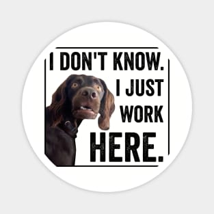 I Dont Know I Just Work Here Funny Confused Dog Meme Magnet